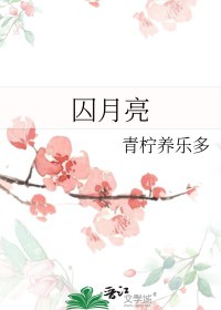 囚月原著小说